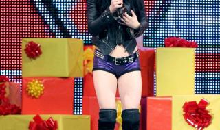 wwe职业摔跤 wwe职业摔跤